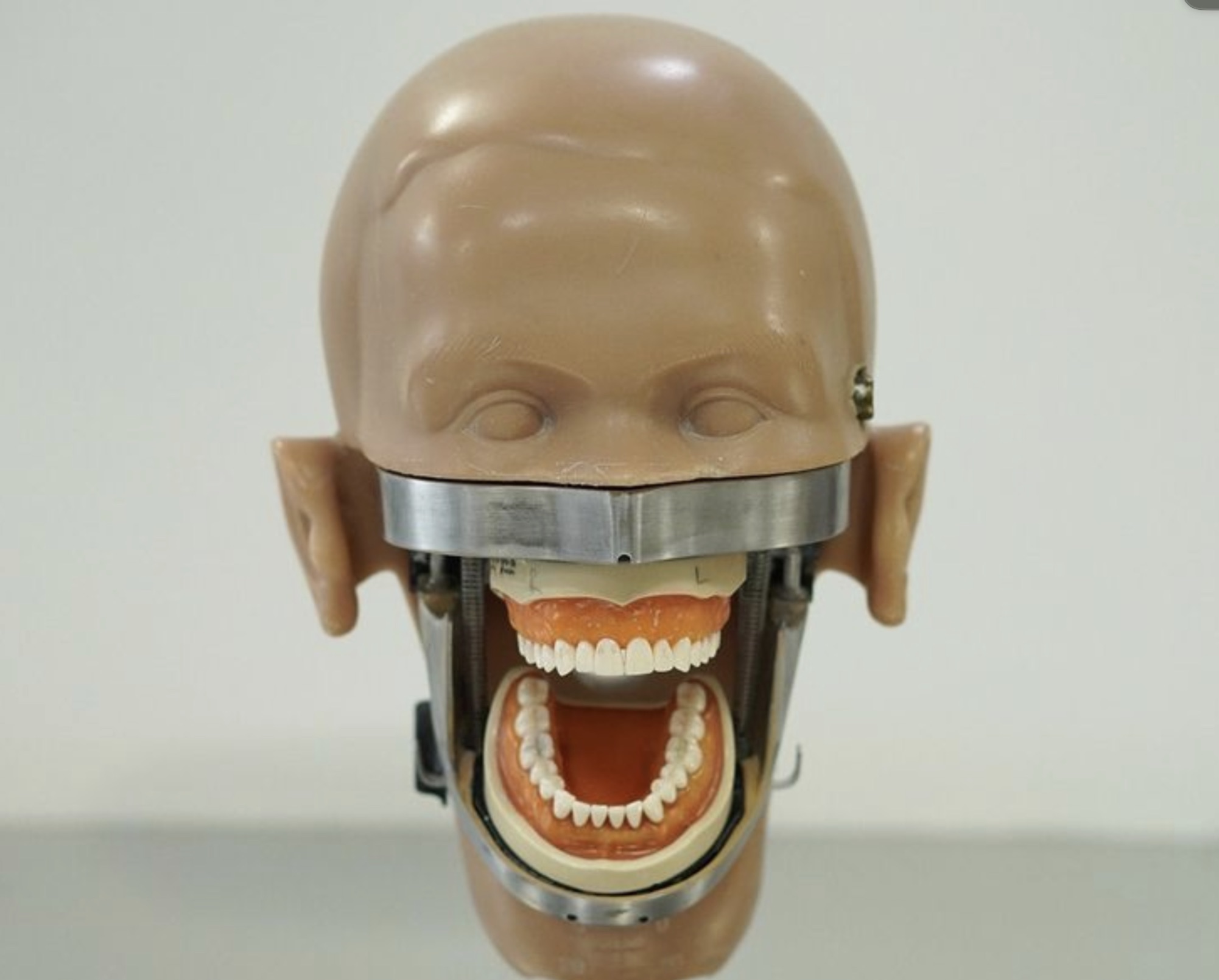 dentist training head vintage