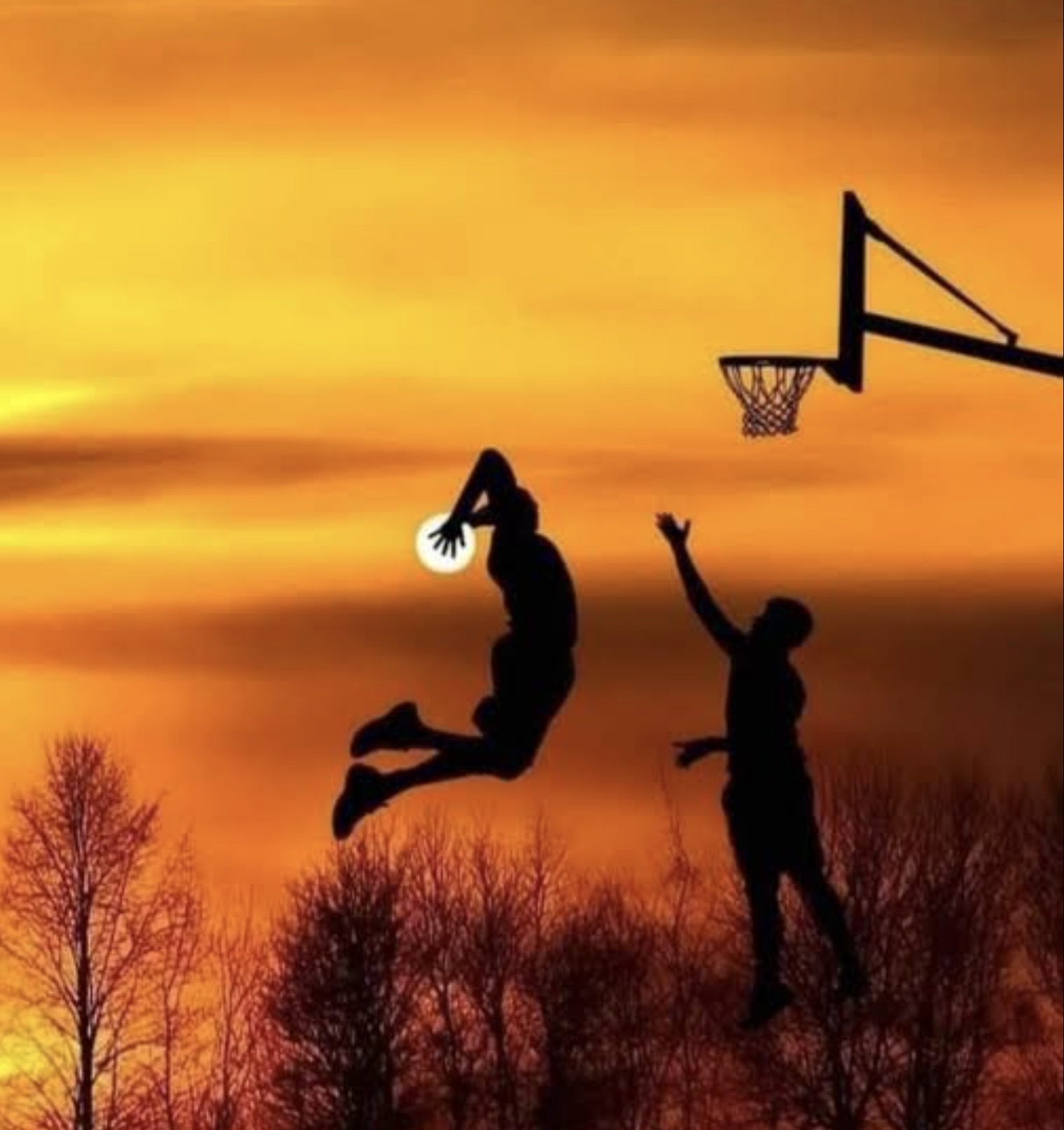 basketball sun