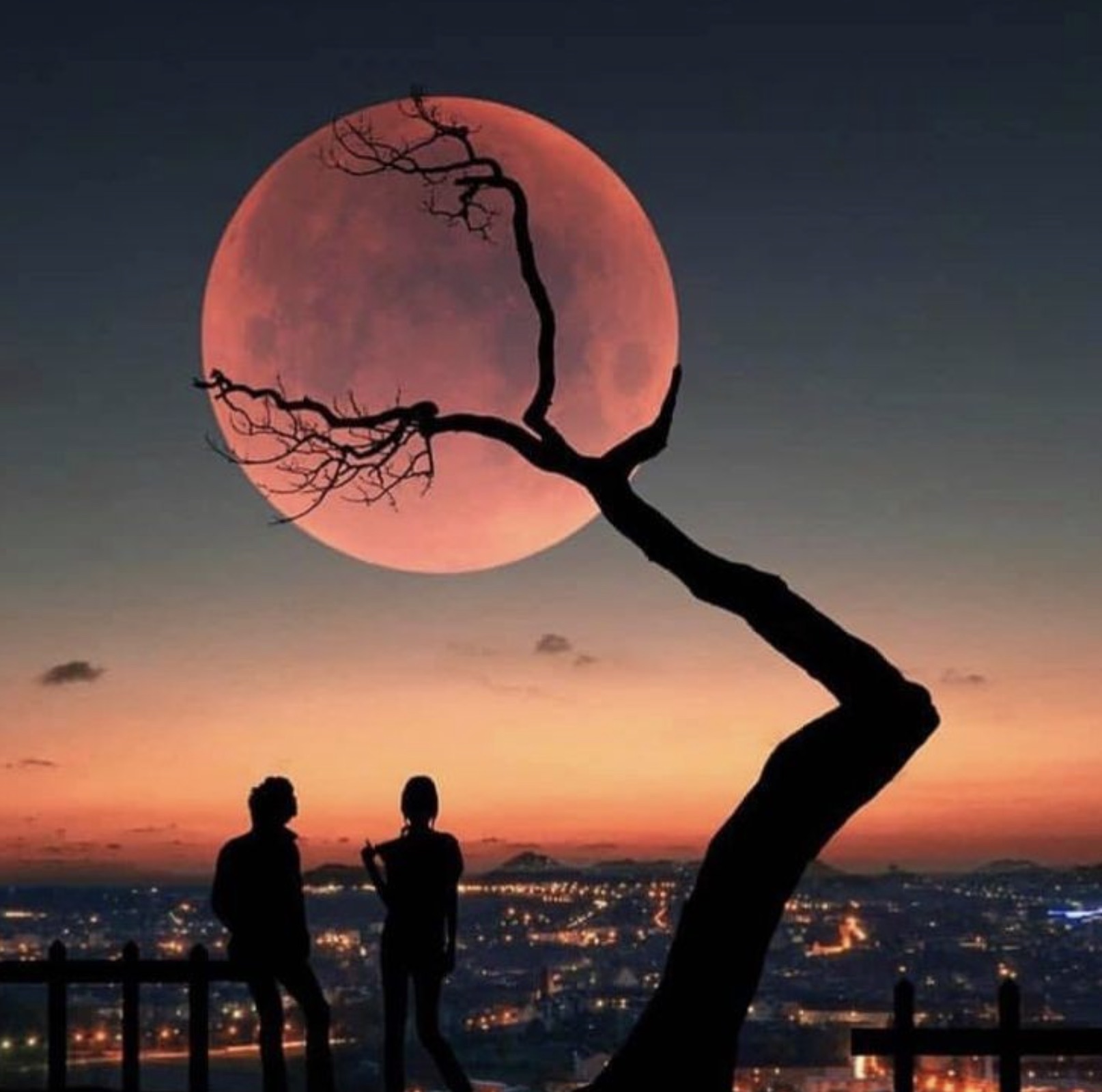 tree hugging moon