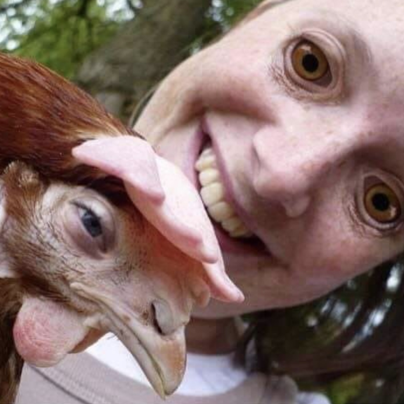 chicken face swap