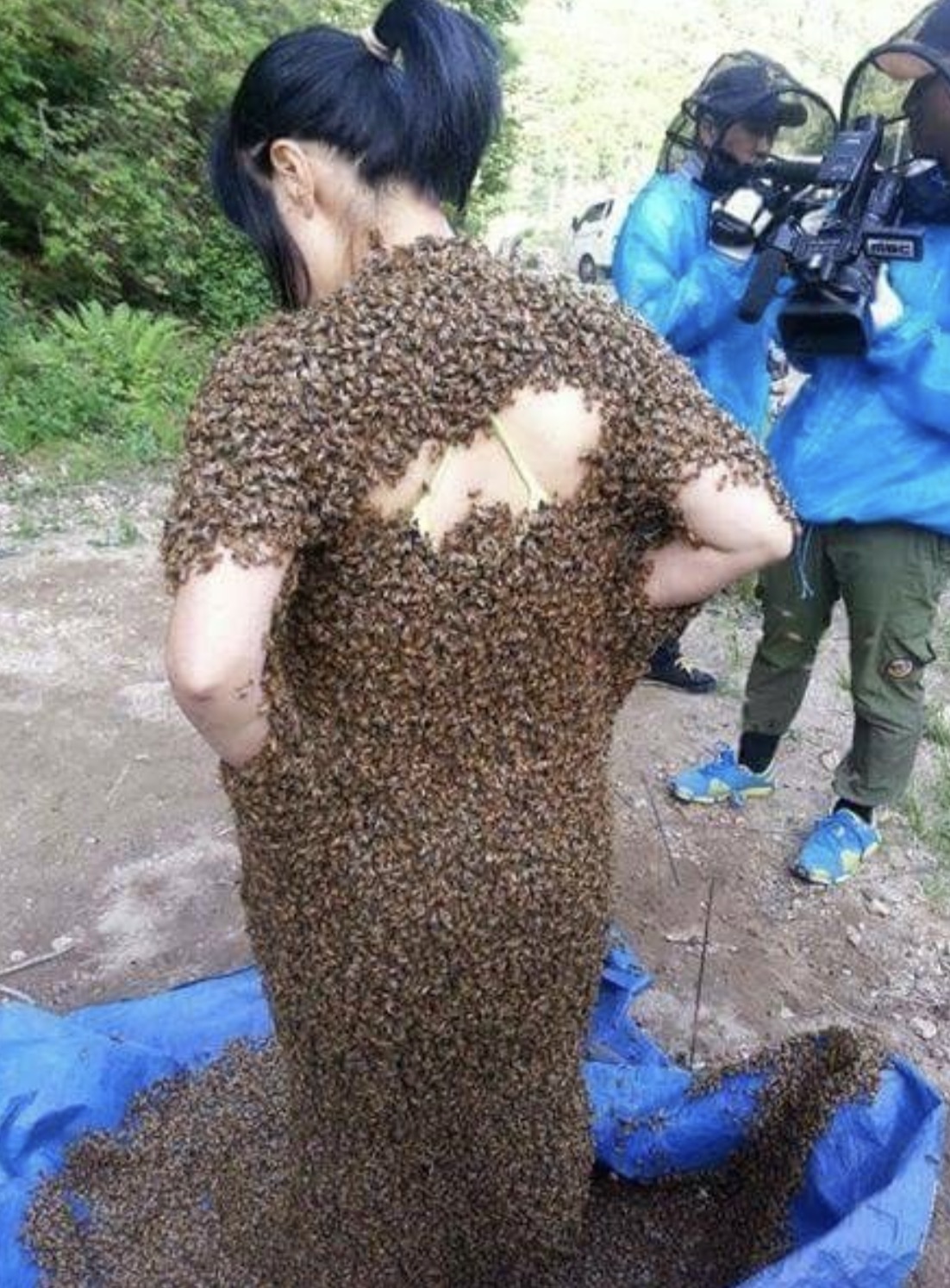 bees on people