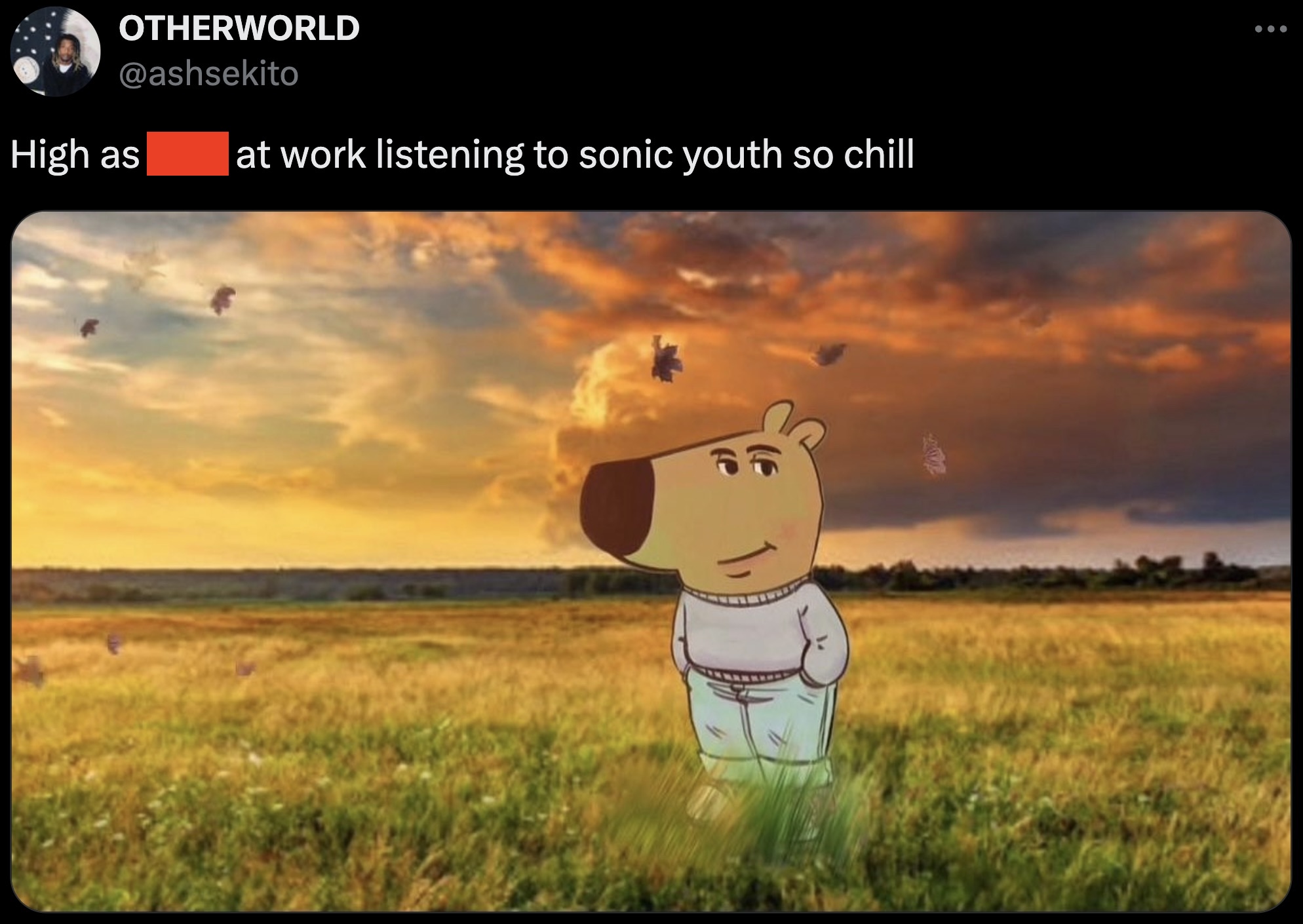 chill nonchalant guy - Otherworld High as at work listening to sonic youth so chill