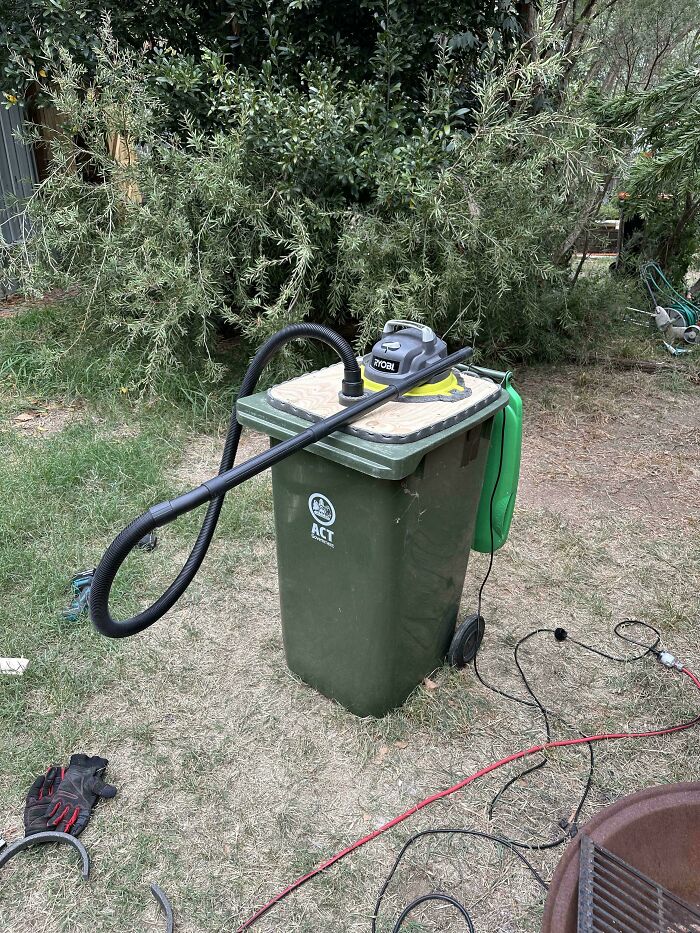 Rake the leaves? Nah buddy, not today!