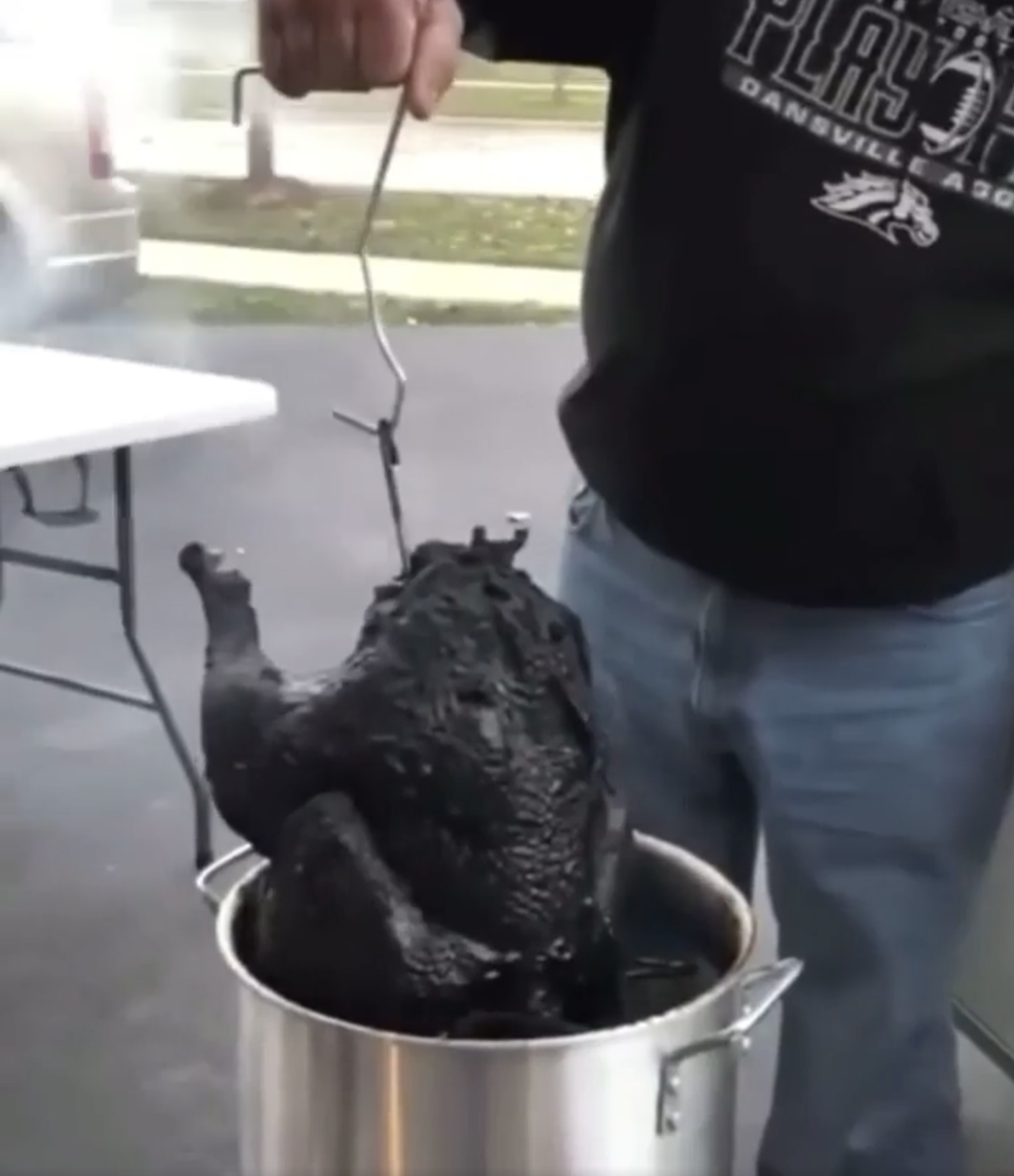 alligator snapping turtle - Flaso Dansville Asc