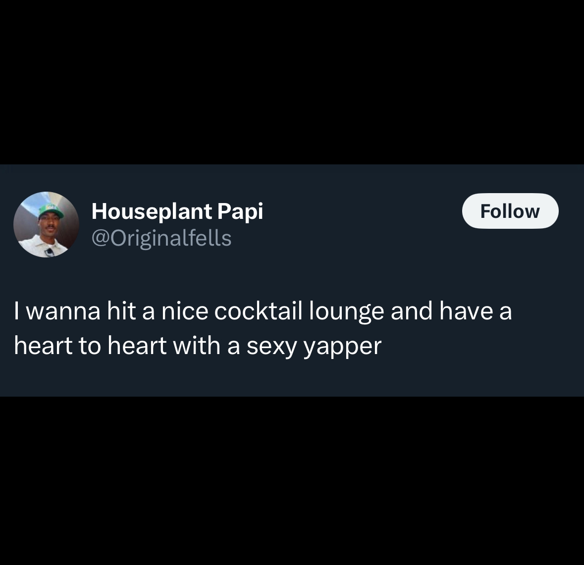 screenshot - Houseplant Papi I wanna hit a nice cocktail lounge and have a heart to heart with a sexy yapper