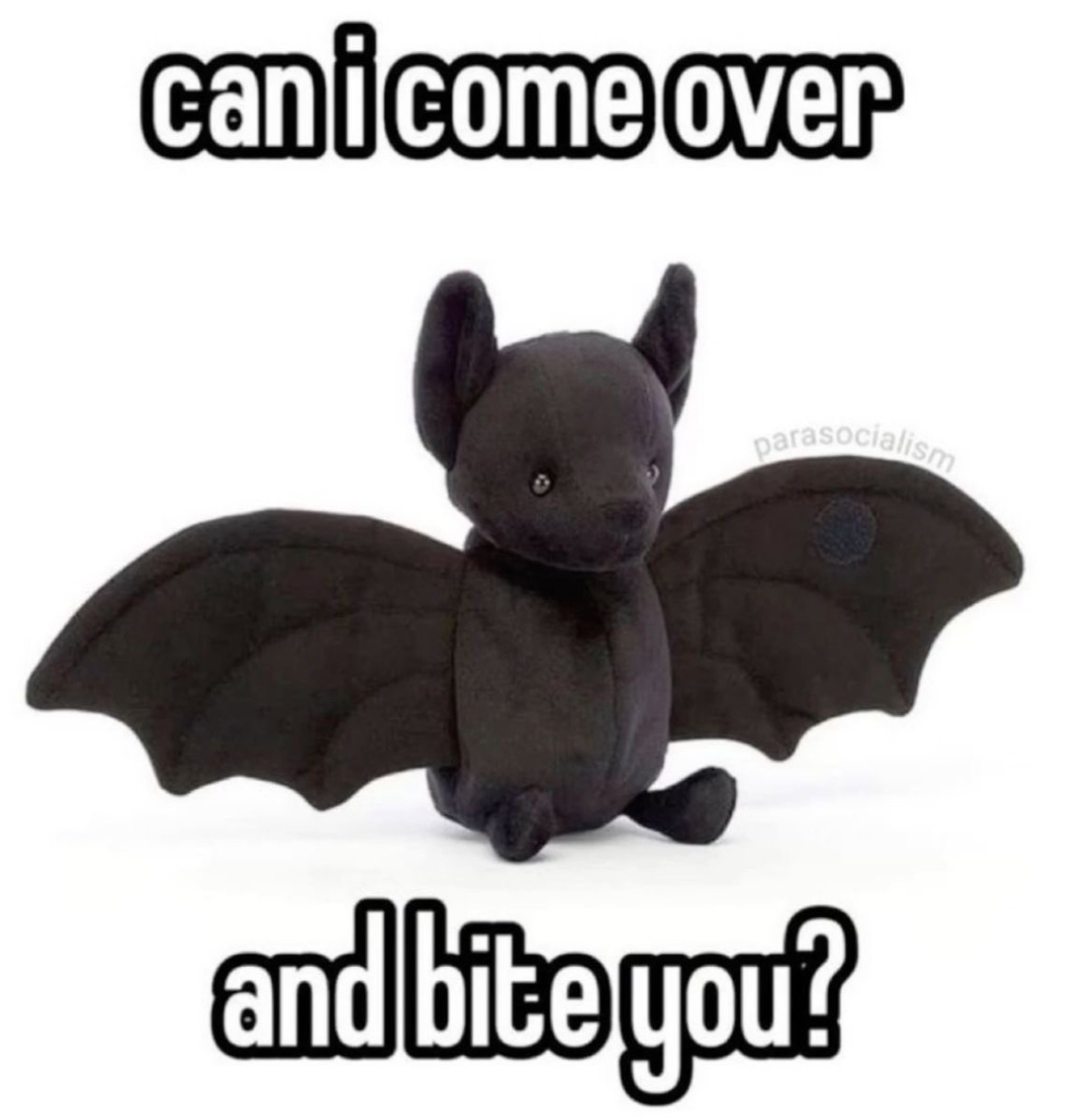 stuffed toy - can i come over parasocialism and bite you?