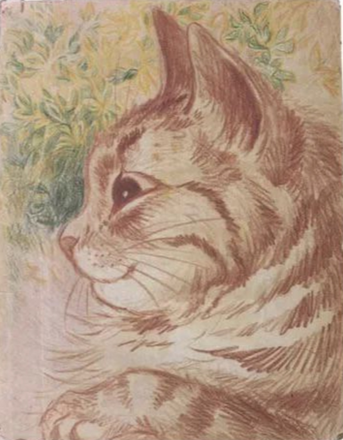 louis wain cats realist