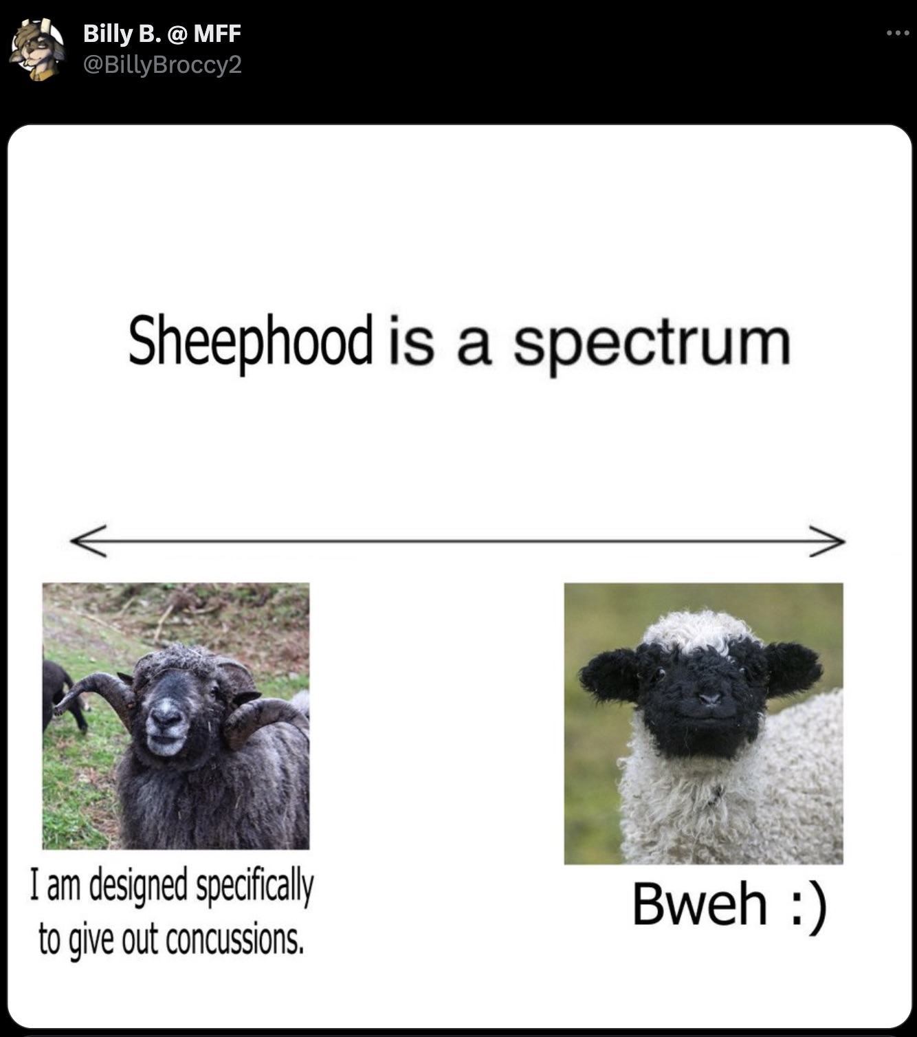 sheep - Billy B. @ Mff Sheephood is a spectrum I am designed specifically to give out concussions. Bweh