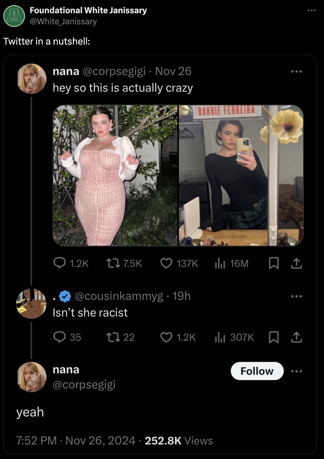 screenshot - Foundational White Janissary Twitter in a nutshell nana Nov 26 hey so this is actually crazy Barbie Ferreira yeah Q tz Il 16M 1 . 19h Isn't she racist 35 2722 nana Views