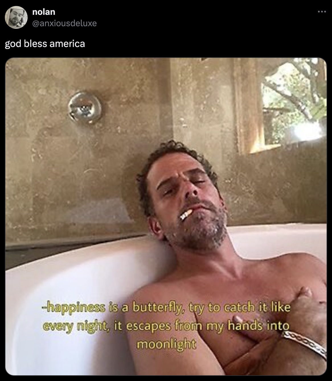 hunter biden intimate - nolan god bless america happiness is a butterfly, try to catch it every night, it escapes from my hands into moonlight