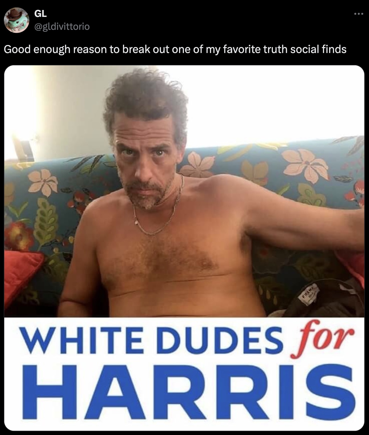 barechested - Gl Good enough reason to break out one of my favorite truth social finds Frame White Dudes for Harris