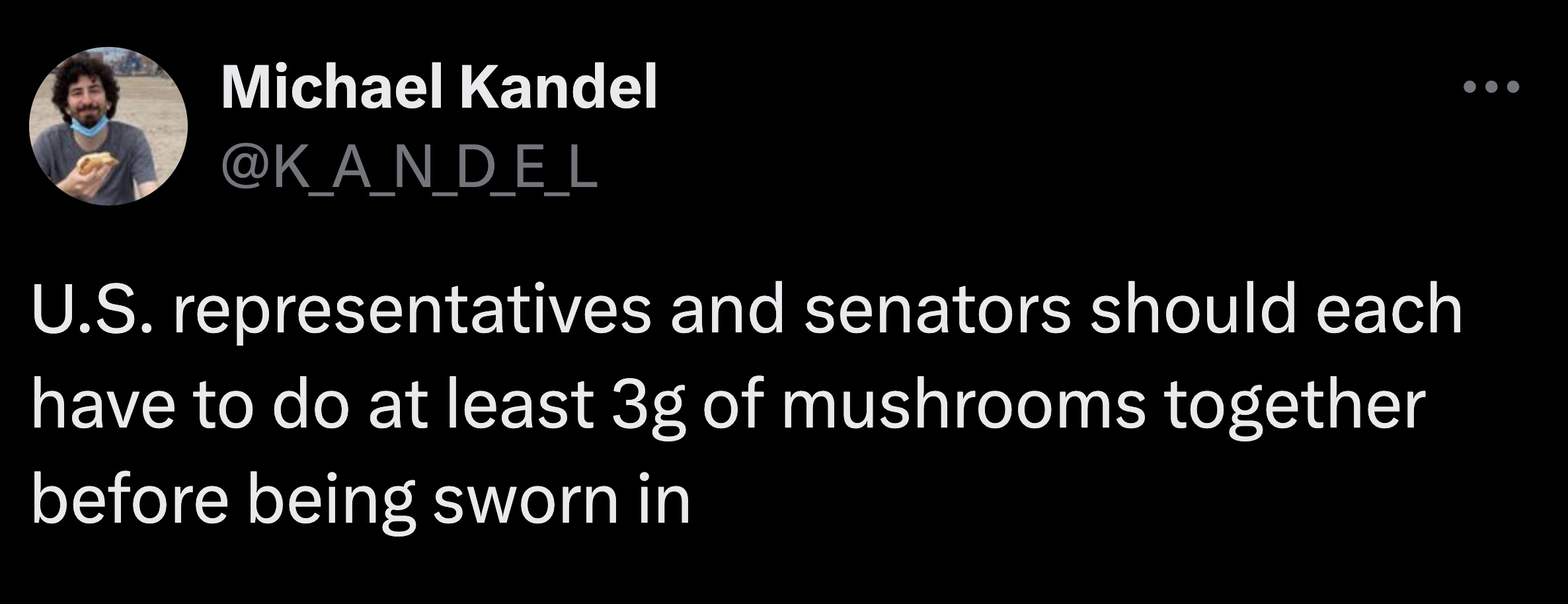 screenshot - Michael Kandel U.S. representatives and senators should each have to do at least 3g of mushrooms together before being sworn in