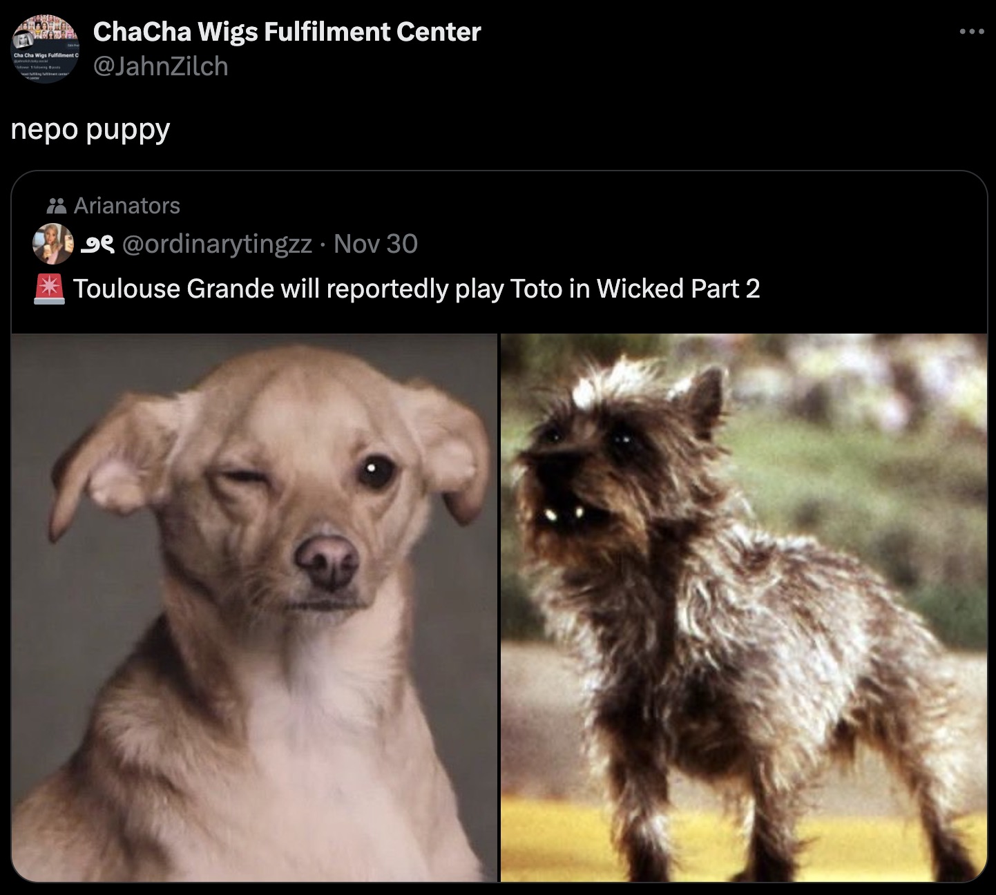 ariana grande toulouse winking - Cha Cha Wigs Fulfillment C ChaCha Wigs Fulfilment Center nepo puppy Arianators . Nov 30 Toulouse Grande will reportedly play Toto in Wicked Part 2 ...