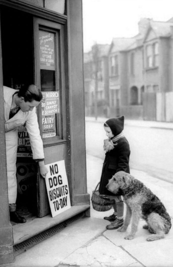 no dog biscuits today print - Wrrd Fairy O O No Dog Biscuits ToDay