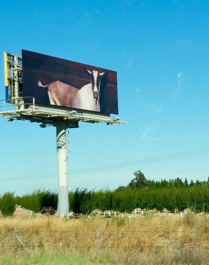 The GOAT of billboards.