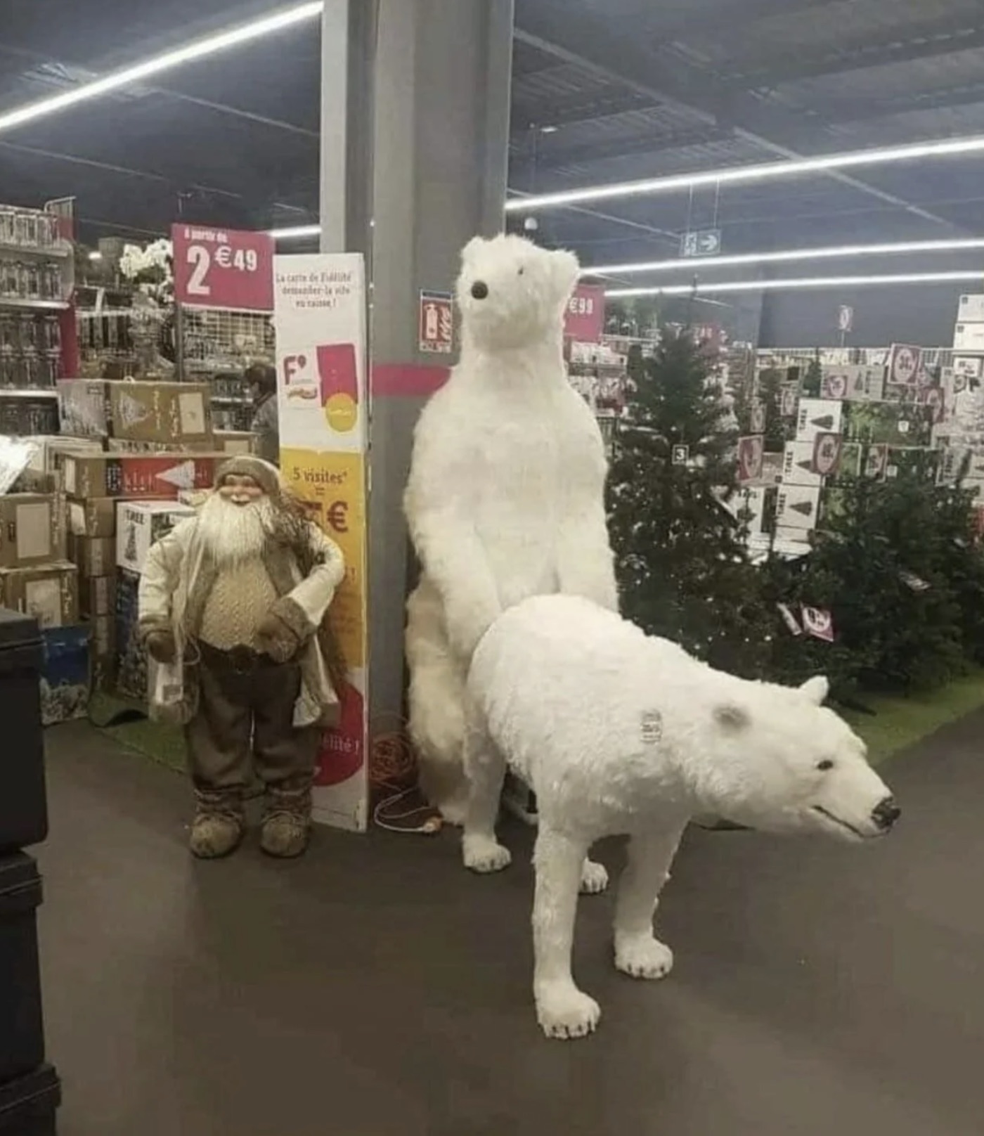 polar bear