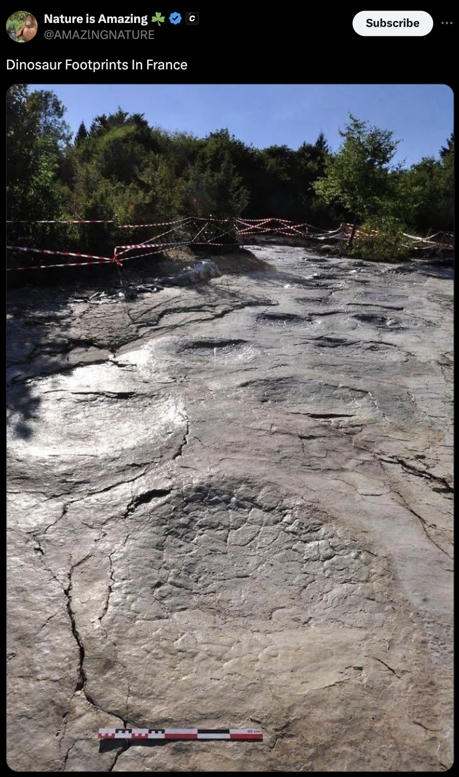 dinosaur footprints france - Nature is Amazing c Gamazingnature Dinosaur Footprints In France Subscribe