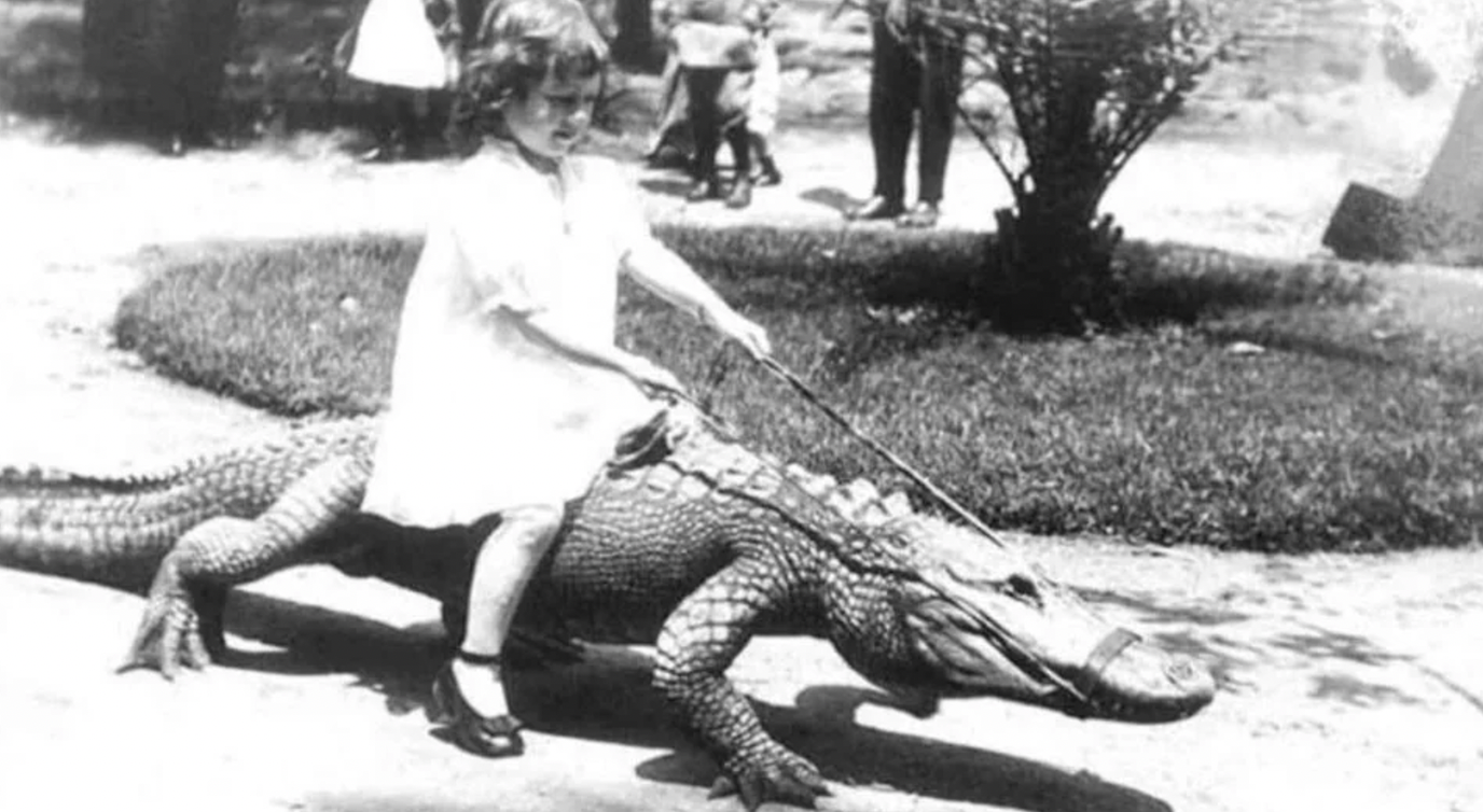 kids riding alligators