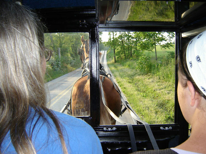 Inside of an Amish Horse and Buggy.