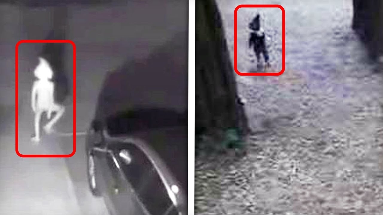 18 'Real-Life' Gnome Sightings Caught on Camera