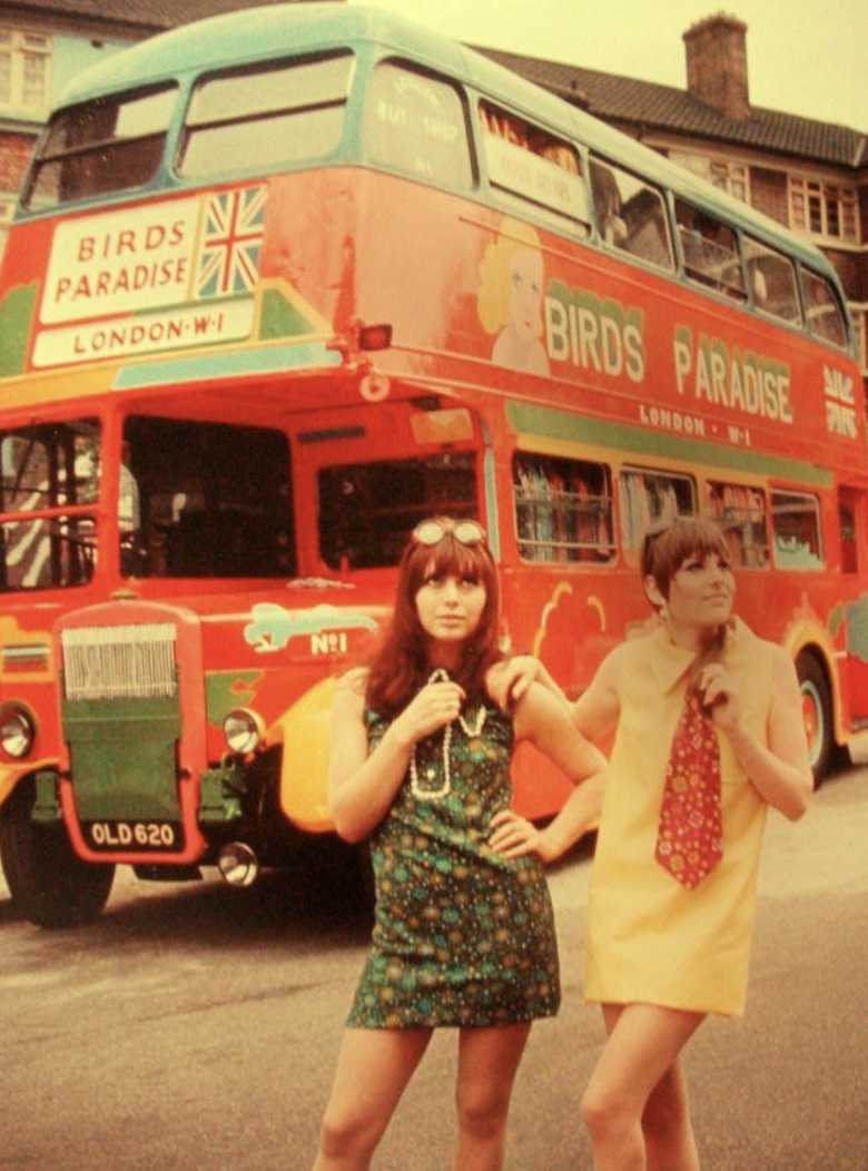 swinging london 1960s - Birds Paradise London Wi OLD620 Birds Paradise Lundon Wa