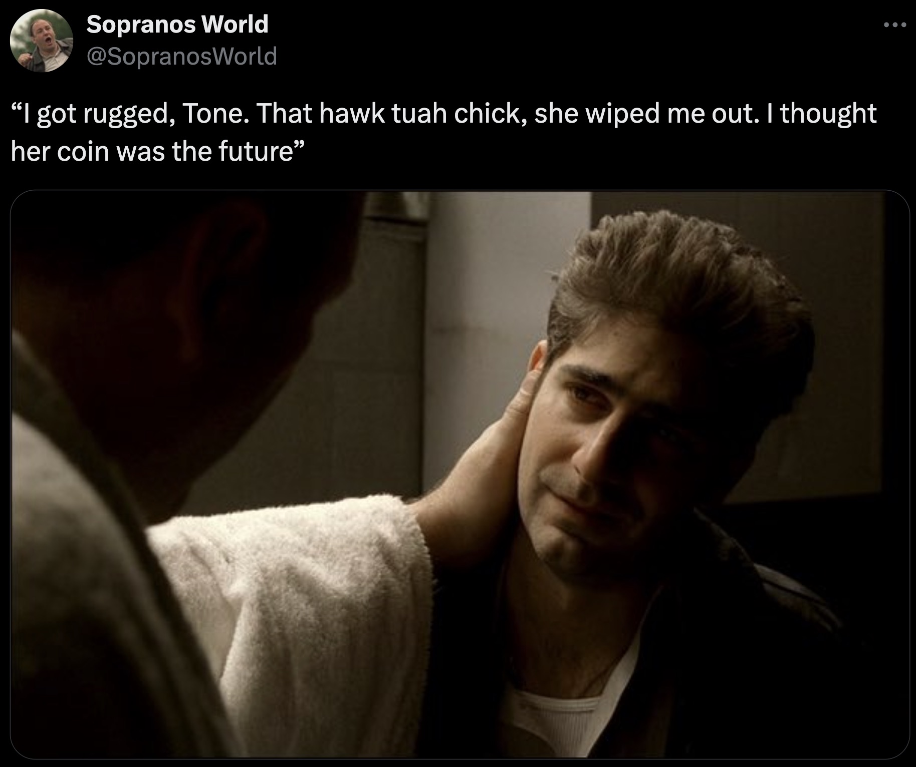 sopranos loyalty gif - Sopranos World "I got rugged, Tone. That hawk tuah chick, she wiped me out. I thought her coin was the future