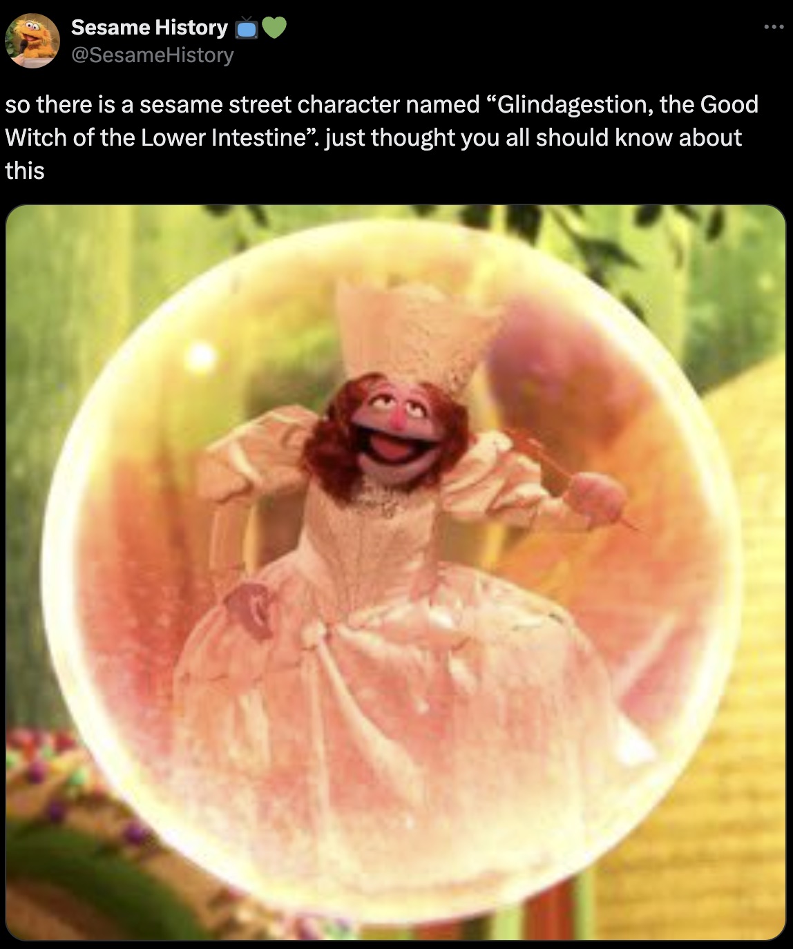 Fandom - Sesame History so there is a sesame street character named Glindagestion, the Good Witch of the Lower Intestine". just thought you all should know about this