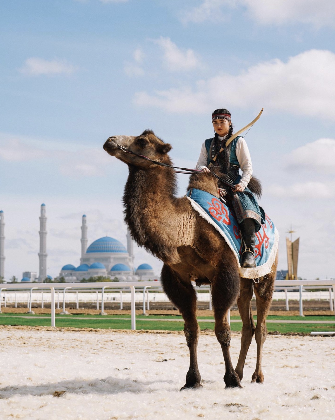 arabian camel