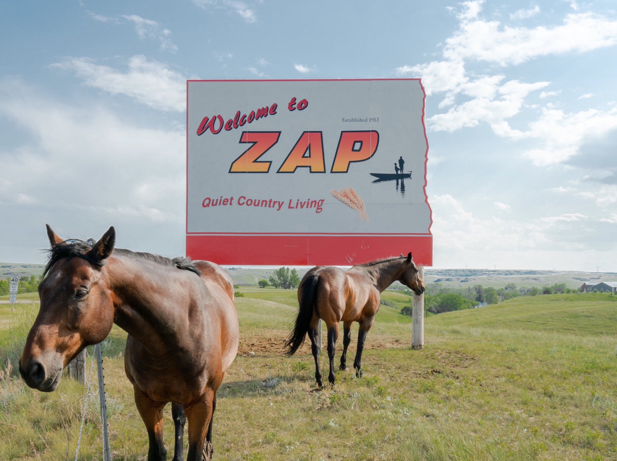 stallion - Welcome to Zap Quiet Country Living