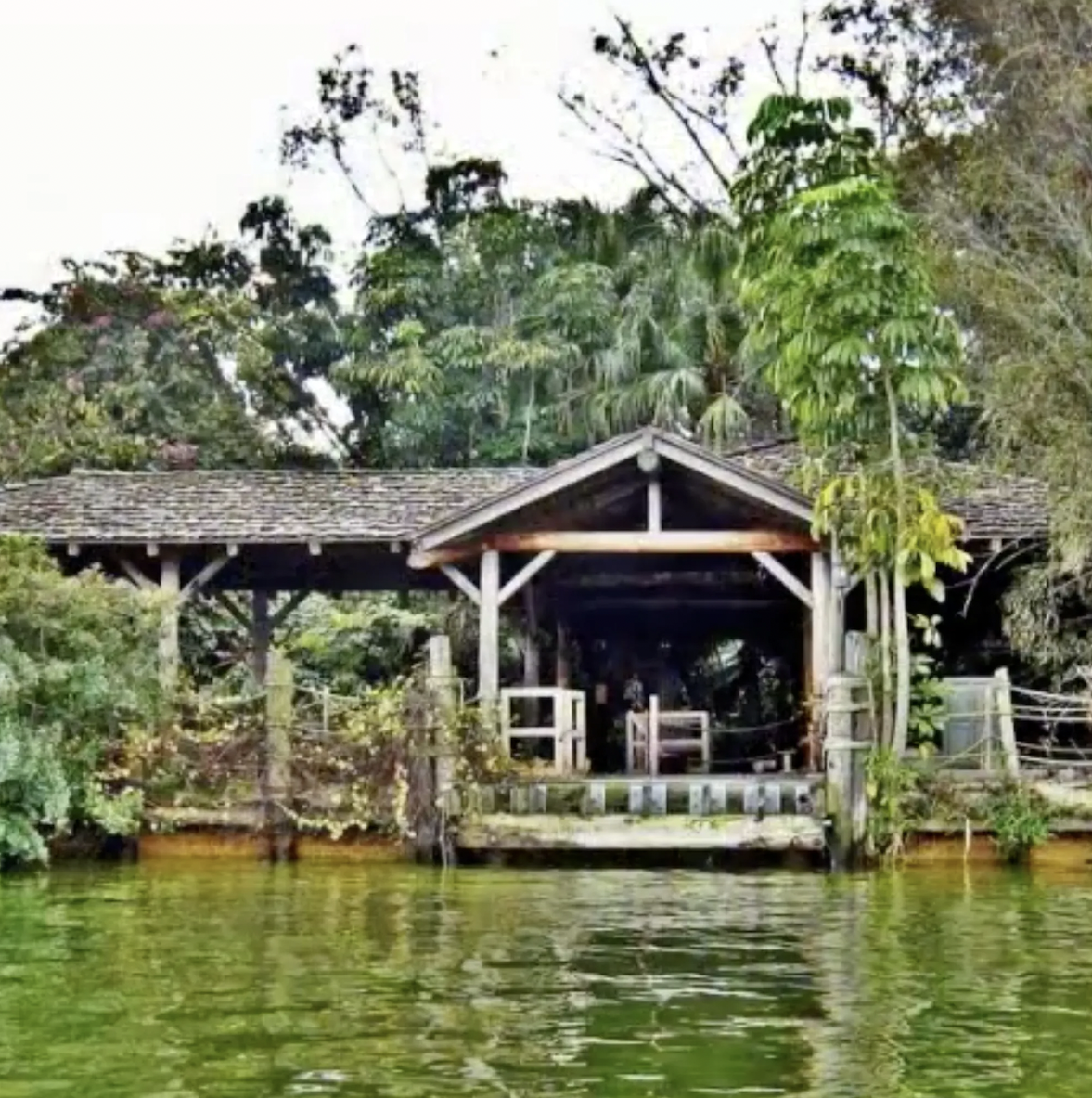 Smack dab in the middle of Disney World in Orlando, Florida, sits an abandoned island. The island has been abandoned for over 25 years, but before 1999 it was known as Discovery Island, and was Disney’s precursor to the Animal Kingdom. However, it is now an overgrown mess.