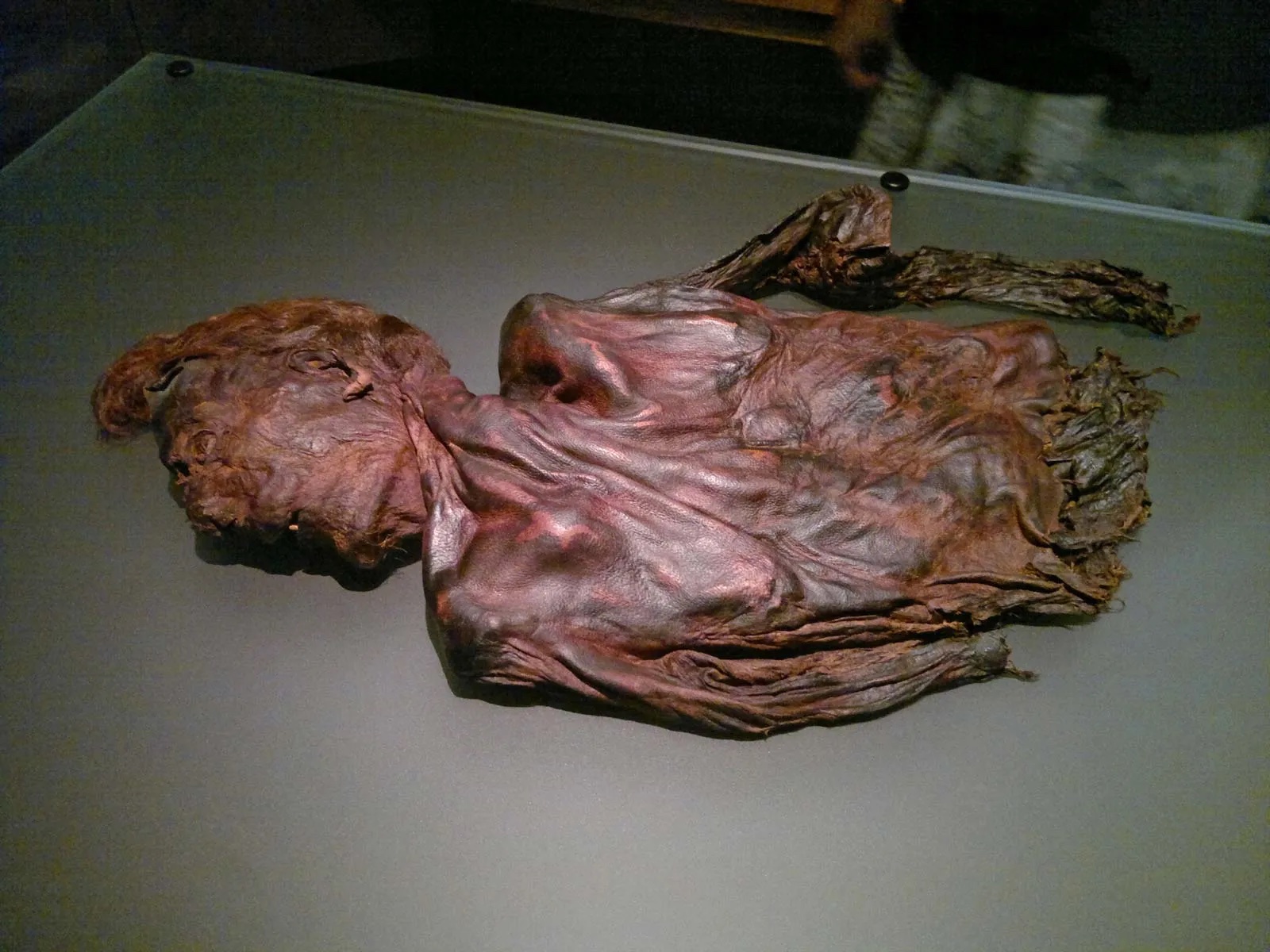 bog body