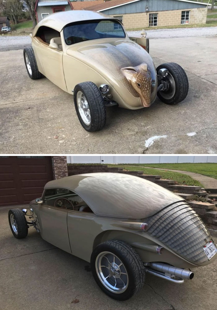 If you want a cross between a volkswagen beetle and an armadillo, then this is the car for you!