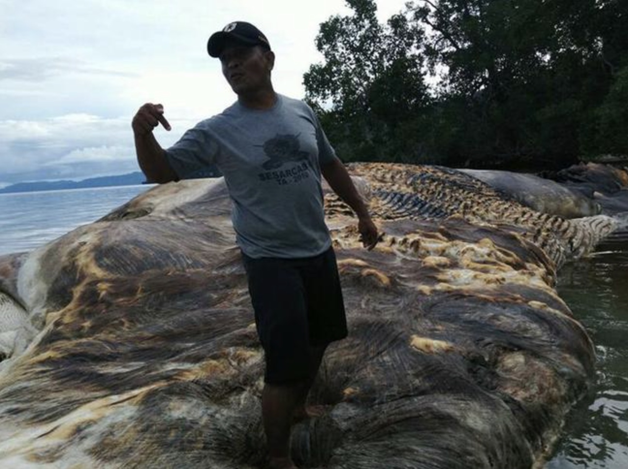 20 Gigantic Disgusting Blobs that Plopped out of the Ocean