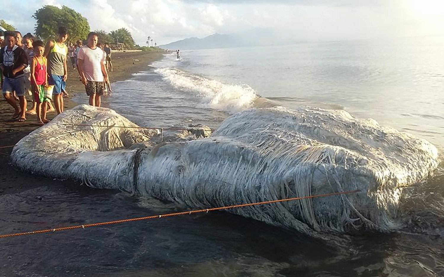 20 Gigantic Disgusting Blobs that Plopped out of the Ocean