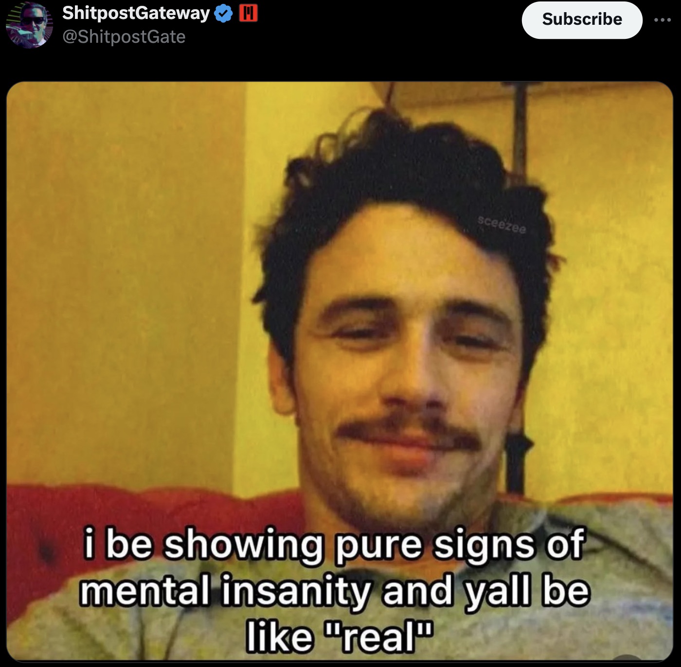 James Franco - ShitpostGateway H sceezee Subscribe i be showing pure signs of mental insanity and yall be "real"