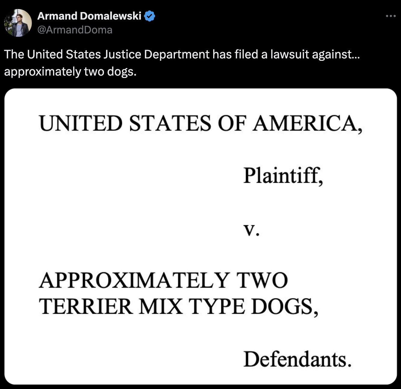 screenshot - Armand Domalewski The United States Justice Department has filed a lawsuit against... approximately two dogs. United States Of America, Plaintiff, V. Approximately Two Terrier Mix Type Dogs, Defendants.