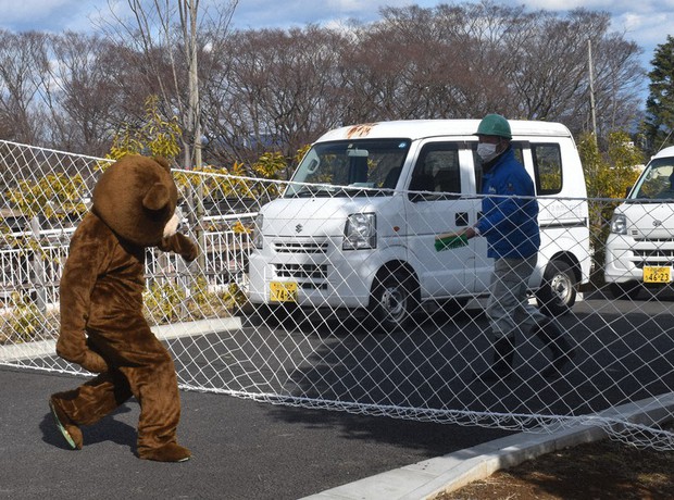 28 Funny Pictures from Zoo Escape Drills