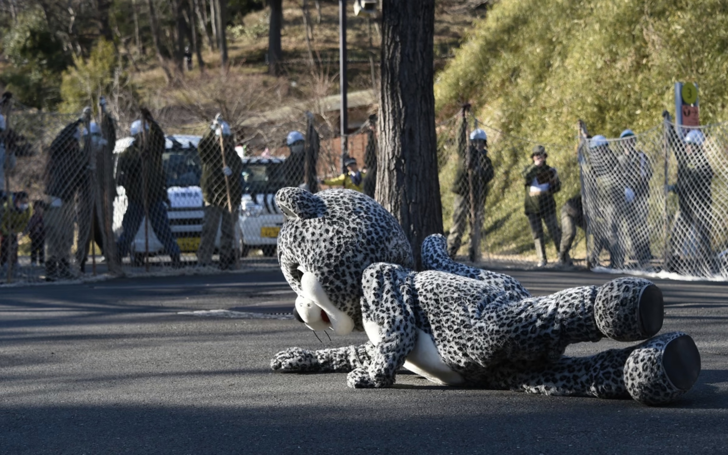 28 Funny Pictures from Zoo Escape Drills