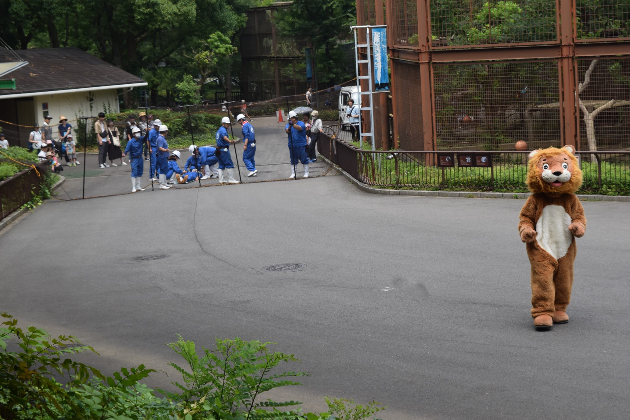 28 Funny Pictures from Zoo Escape Drills