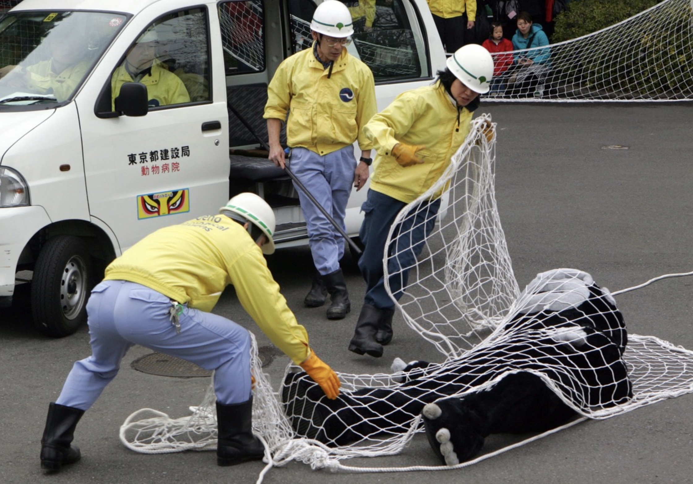 28 Funny Pictures from Zoo Escape Drills