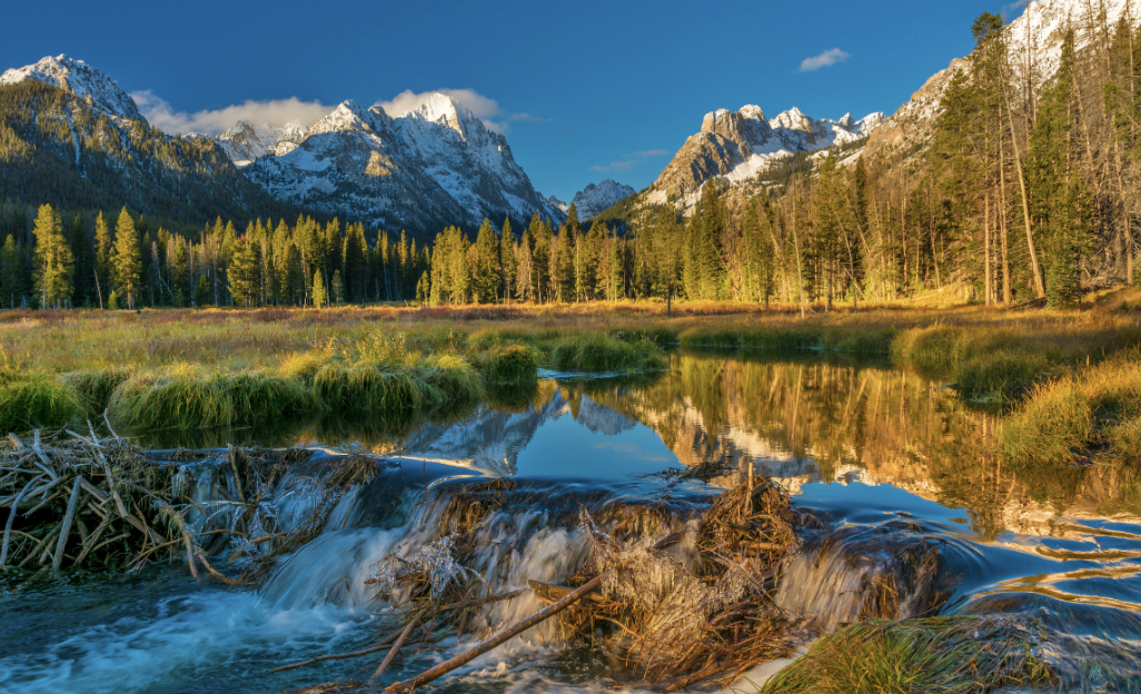 idaho landscape