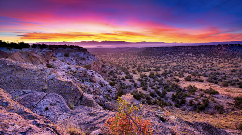 new mexico