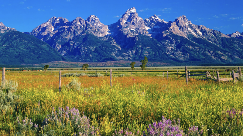 jackson hole