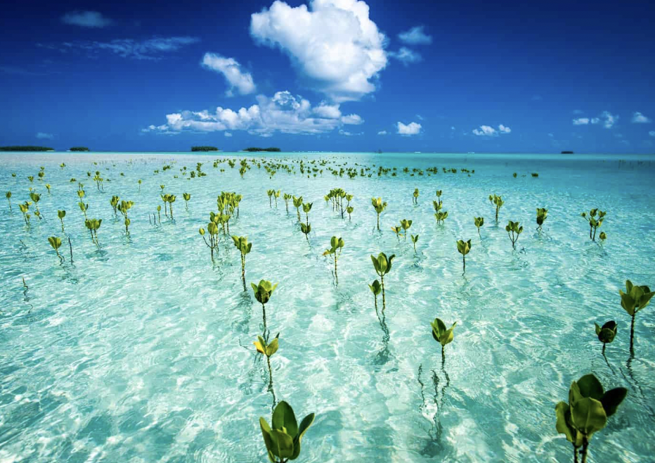 tuvalu beach