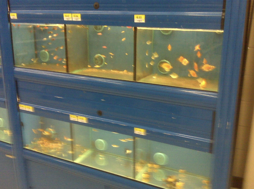 walmart fish tanks 90s