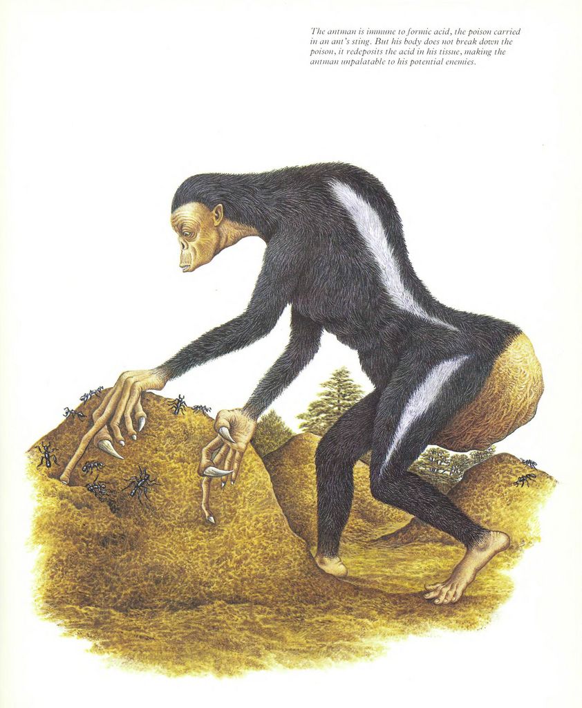 men after man - The antman is immune to formic acid, the poison carried in an ant's sting. But his body does not break down the poison, it redeposits the acid in his tissue, making the antman unpalatable to his potential enemies. Ex