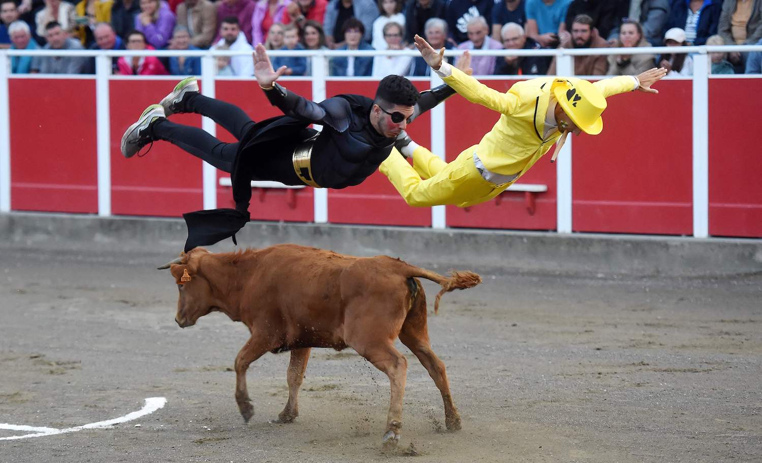 26 People Who Probably Regret Becoming Bullfighters