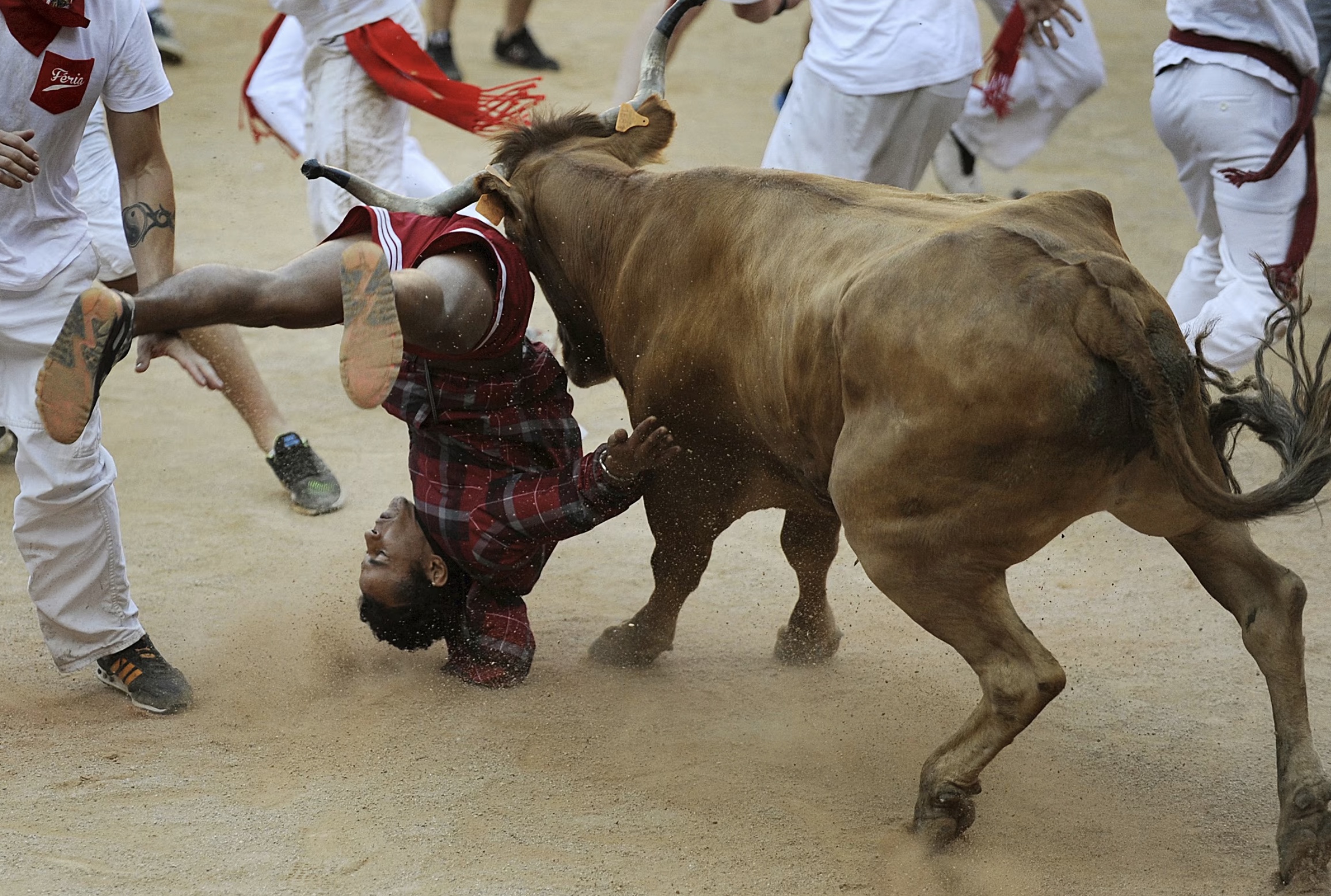 26 People Who Probably Regret Becoming Bullfighters