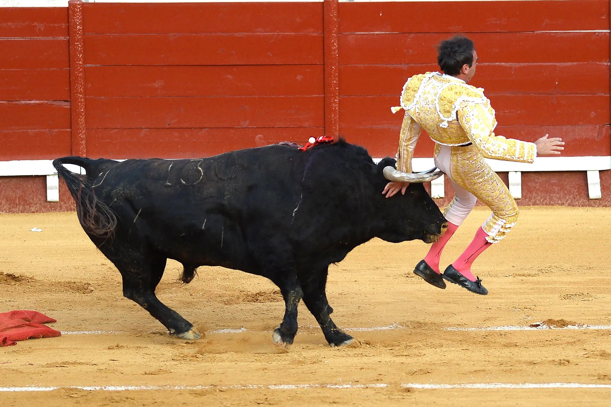 26 People Who Probably Regret Becoming Bullfighters