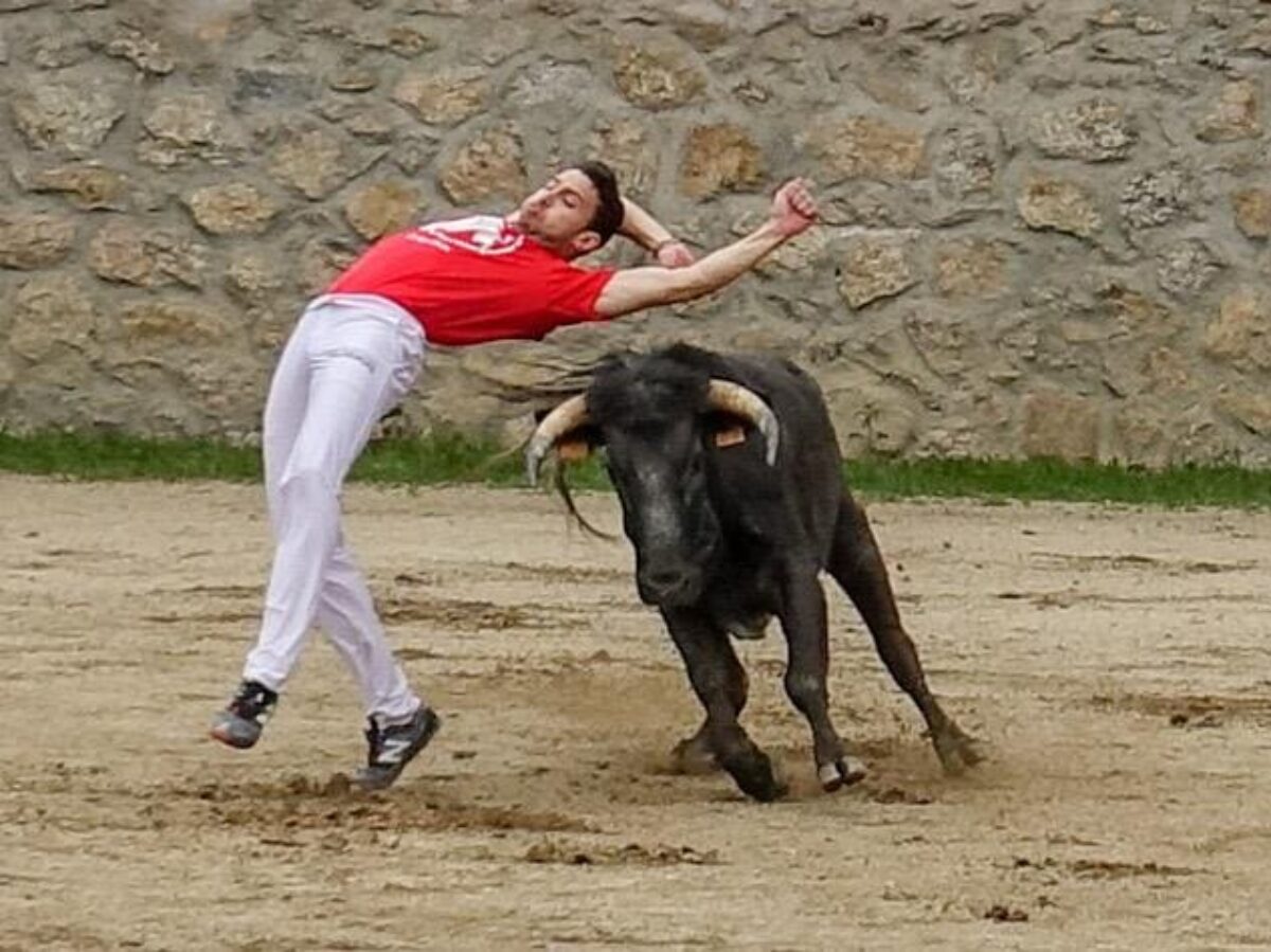 26 People Who Probably Regret Becoming Bullfighters